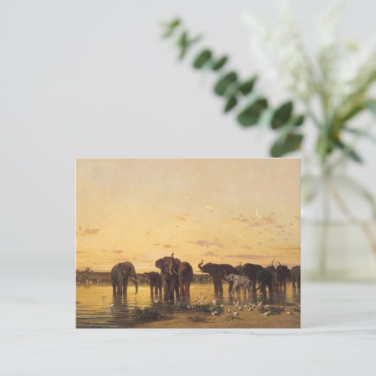 Carte Postale Eléphants africains (Debout devant)