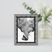 Carte postale Eléphants Africains (Debout devant)