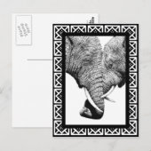 Carte postale Eléphants Africains (Devant / Derrière)