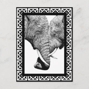 Carte postale Eléphants Africains