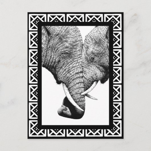 Carte postale Eléphants Africains (Devant)