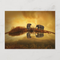 Eléphants asiatiques