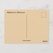 Carte Postale Eléphants au Botswana (Dos)