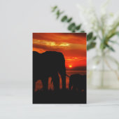 Carte Postale Eléphants au coucher du soleil (Debout devant)