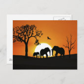 Carte Postale Eléphants au coucher du soleil (Devant / Derrière)