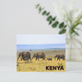 Carte Postale Eléphants Au Kenya (Debout devant)