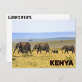 Carte Postale Eléphants Au Kenya (Devant / Derrière)
