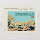 Carte Postale Eléphants dans la réserve nationale de Samburu, Ke (Devant / Derrière)