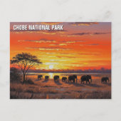 Carte Postale Eléphants dans le Parc national de Chobe Botswana (Devant)