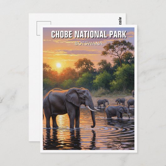 Carte Postale Eléphants dans le Parc national de Chobe Botswana (Devant / Derrière)