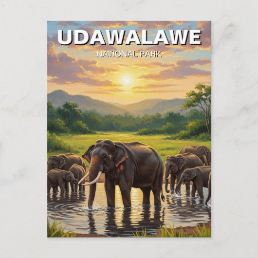 Carte Postale Eléphants dans le Parc national de Sri Lanka Udawa (Devant)