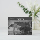 Carte Postale Eléphants dans le Parc national d'Etosha Namibie (Debout devant)