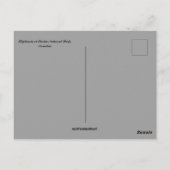 Carte Postale Eléphants dans le Parc national d'Etosha Namibie (Dos)