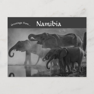 Carte Postale Eléphants dans le Parc national d'Etosha Namibie