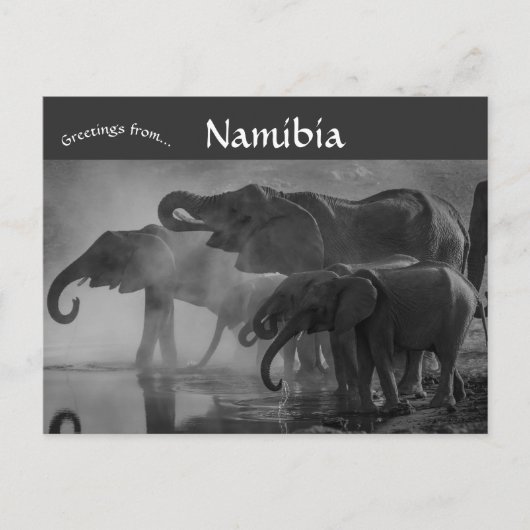 Carte Postale Eléphants dans le Parc national d'Etosha Namibie (Devant)