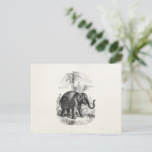 Carte Postale Eléphants d'Asie vintage personnalisés (Debout devant)