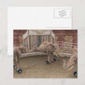 Carte Postale Éléphants de cirque drôles (Devant / Derrière)