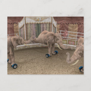 Carte Postale Éléphants de cirque drôles