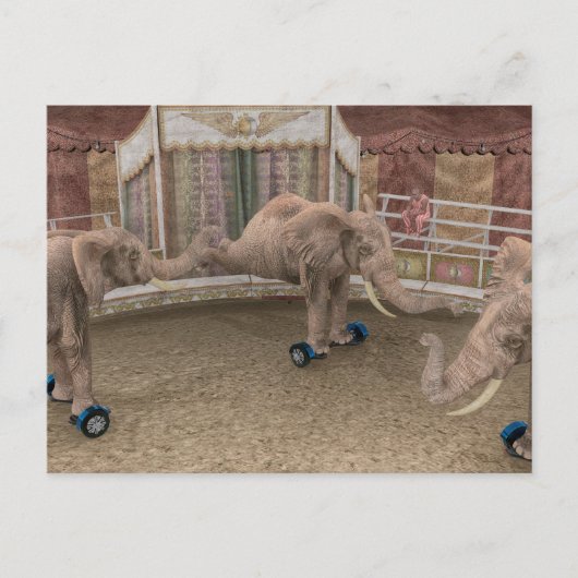 Carte Postale Éléphants de cirque drôles (Devant)
