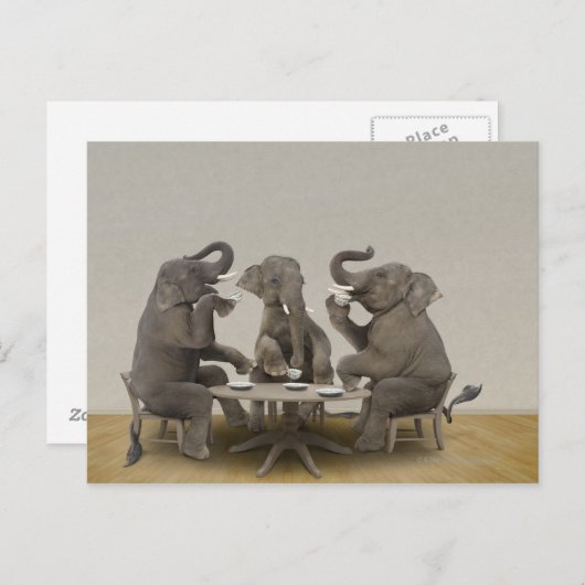 Carte Postale Elephants having tea party (Devant / Derrière)