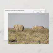 Carte Postale éléphants namibie  (Devant / Derrière)