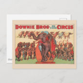 Carte Postale Éléphants Savants Avec Femmes Et Dresseur. (Devant / Derrière)