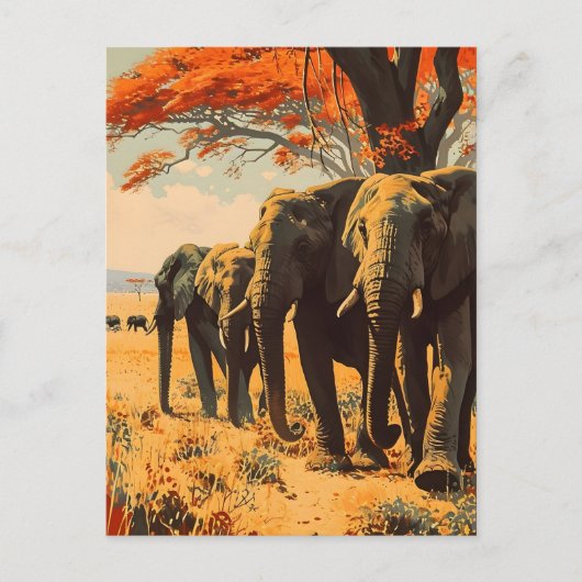Carte Postale Eléphants vintages (Devant)