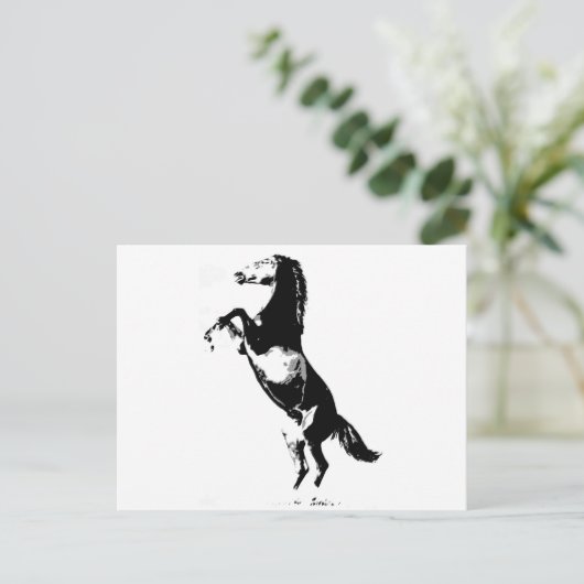 Carte Postale Élevage de chevaux (Debout devant)