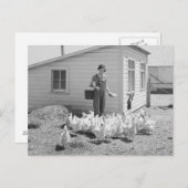 Carte Postale Élevage de poulets chez les filles de ferme, 1936 (Devant / Derrière)