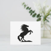 Carte Postale Élevage noir Stallion - (Debout devant)