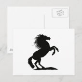 Carte Postale Élevage noir Stallion - (Devant / Derrière)