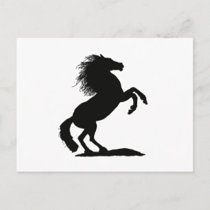 Carte Postale Élevage noir Stallion -