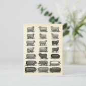 Carte Postale Élevage victorien de porcs et de moutons (Debout devant)