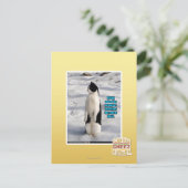 Carte Postale Élevé par des pingouins (Debout devant)