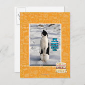 Carte Postale Élevé par des pingouins (Devant / Derrière)