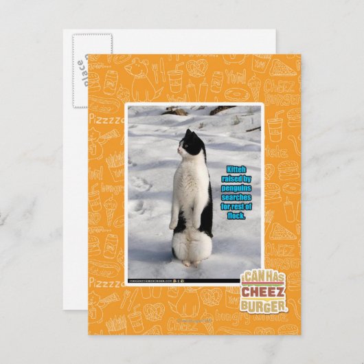 Carte Postale Élevé par des pingouins (Devant / Derrière)