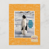 Carte Postale Élevé par des pingouins (Devant)