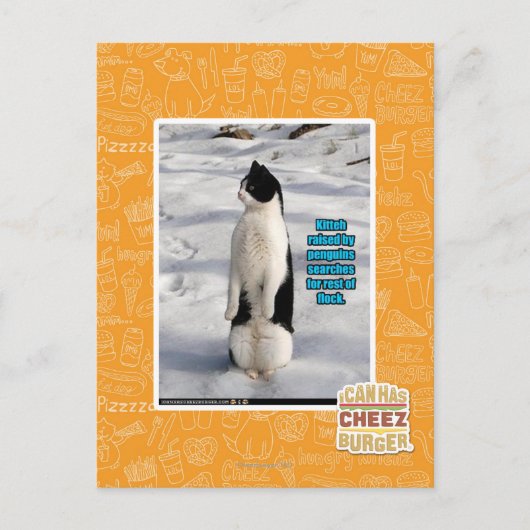 Carte Postale Élevé par des pingouins (Devant)