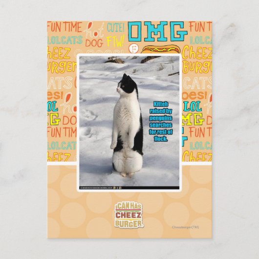 Carte Postale Élevé par des pingouins (Devant)