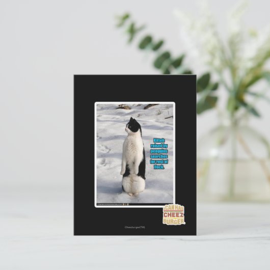 Carte Postale Élevé par des pingouins (Debout devant)