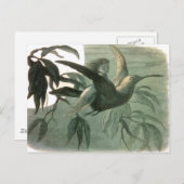 Carte Postale Elf Fairies Elves Lune Scène nocturne Oiseau Volan (Devant / Derrière)