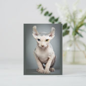Carte Postale Elf Sphinx Photo de chat (Debout devant)