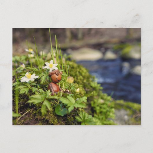 Carte Postale Elfe d'Acorn avec des fleurs de printemps (Devant)