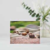 Carte Postale Elfe d'Acorn sur l'escargot (Debout devant)