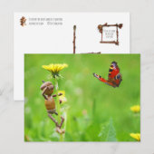 Carte Postale Elfe de maïs sur le pandelion avec papillon sur la (Devant / Derrière)