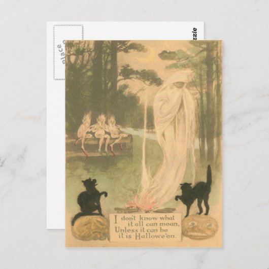 Carte Postale Elfes de chat noir de Jack-o'-lantern (Devant / Derrière)