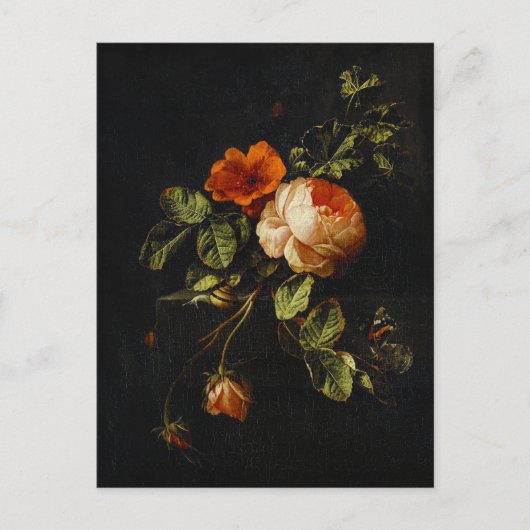 Carte Postale Elias van den Broeck, Still Life avec des Roses (Devant)