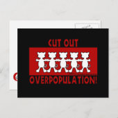 Carte Postale Éliminez la surpopulation ! Chat (Devant / Derrière)