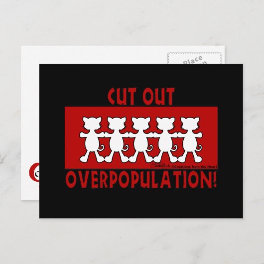 Carte Postale Éliminez la surpopulation ! Chat (Devant / Derrière)
