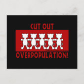 Carte Postale Éliminez la surpopulation ! Chat (Devant)
